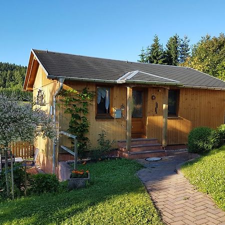 Haus Talsperreneck Villa Stutzengrun Buitenkant foto