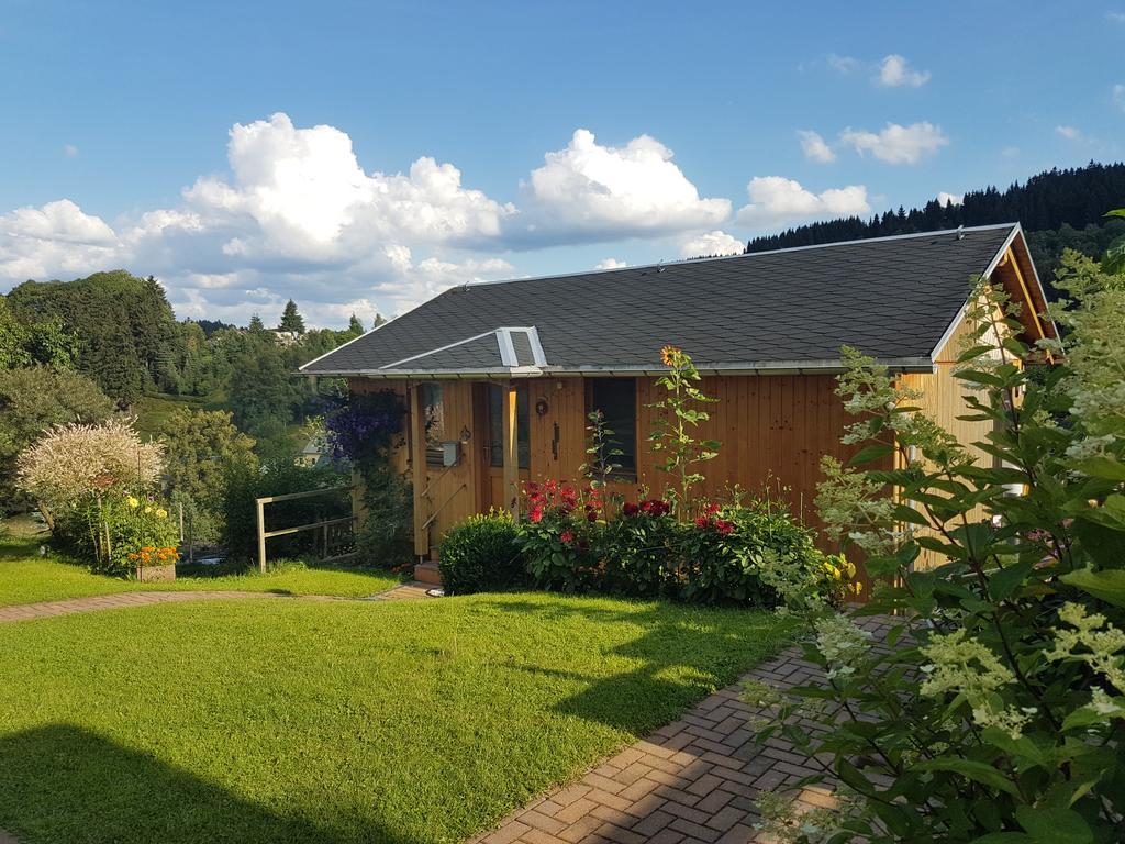 Haus Talsperreneck Villa Stutzengrun Buitenkant foto